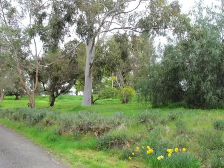 Seventh view of Homely rural property listing, Address available on request