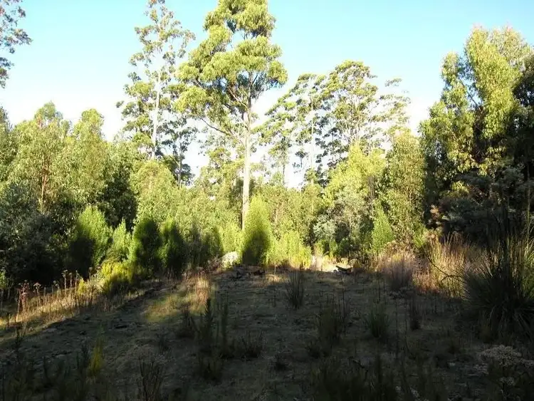 Third view of Homely land listing, 1 Maxfields Road, Franklin TAS 7113