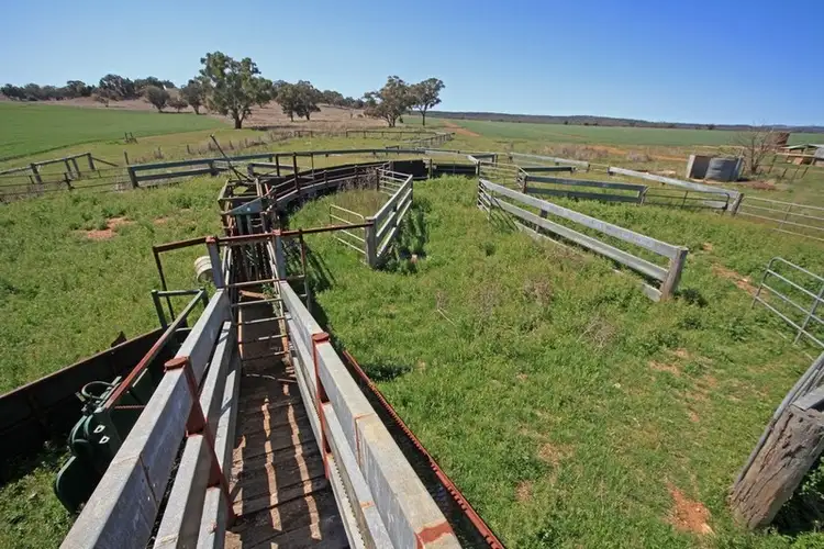 Seventh view of Homely rural property listing, Address available on request