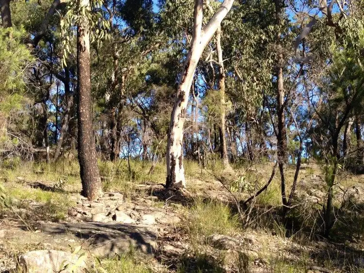 Third view of Homely land listing, Lot 2 Peats Place, Lower Portland NSW 2756