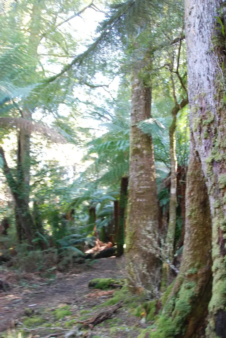 Third view of Homely land listing, 235 Lottah Road Goulds Country, Goulds Country TAS 7216