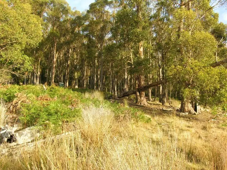 Fifth view of Homely land listing, 214410/1 Halls Track Road, Pelverata TAS 7150