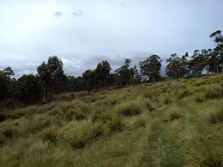 Fourth view of Homely land listing, Lot 2 Twin Rivers Lane, Grove TAS 7109