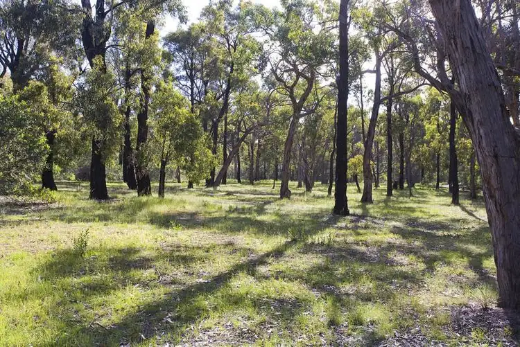 Fifth view of Homely land listing, 19 Gilbert Street, Aireys Inlet VIC 3231