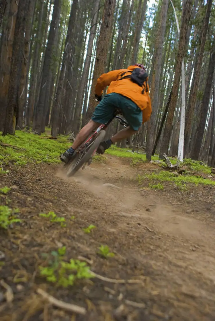 Third view of Homely land listing, Lot 9 Dehnerts Track, Beech Forest VIC 3237