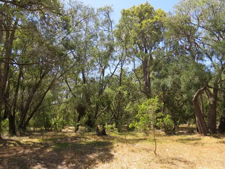 Fifth view of Homely land listing, Lot 407 Okapa Rise, Dunsborough WA 6281