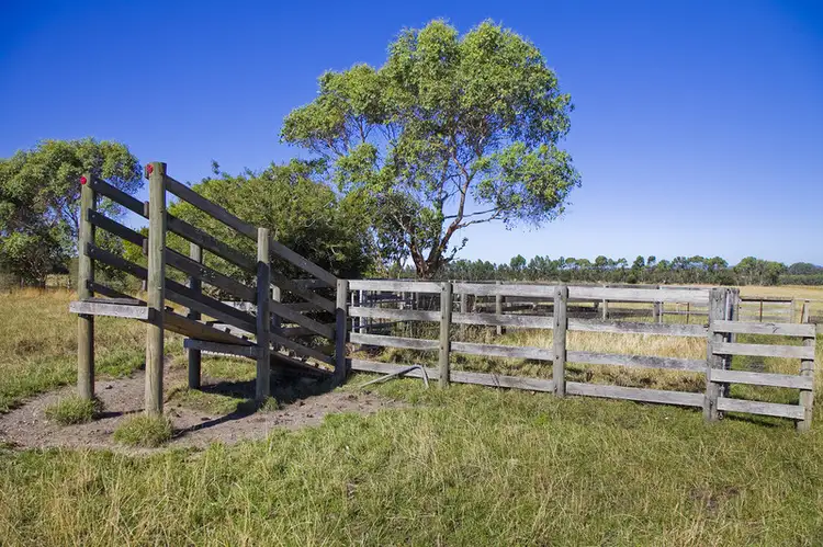 Fourth view of Homely land listing, 115 Barholme Lane, Deans Marsh VIC 3235
