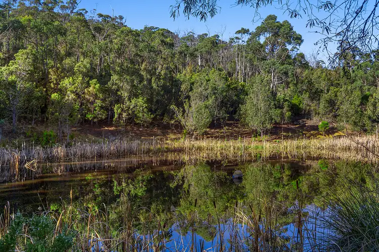 Sixth view of Homely house listing, 866 Cygnet Coast Road, Wattle Grove TAS 7109