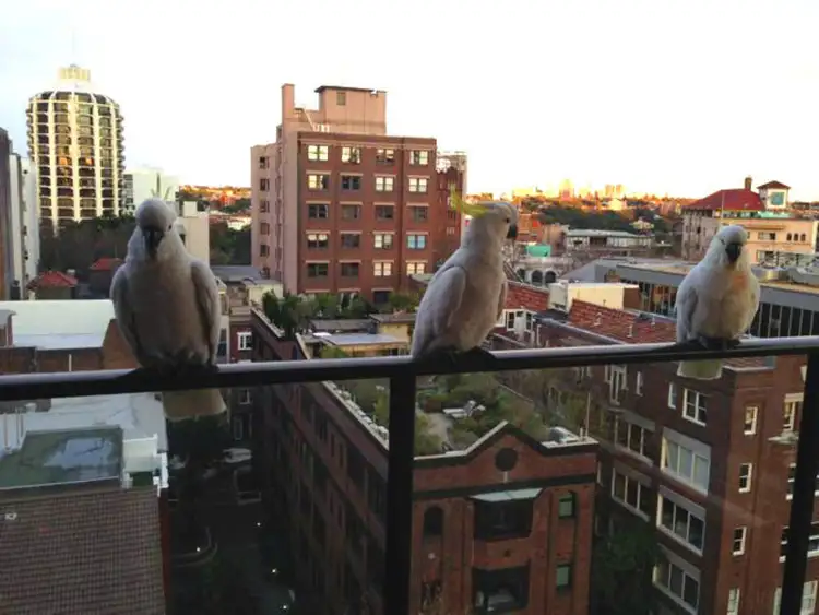 Sixth view of Homely apartment listing, 1008/2 Springfield Avenue, Potts Point NSW 2011