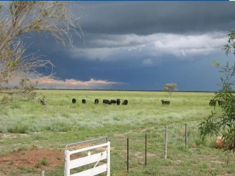 Fourth view of Homely rural property listing, - Talawanta & Ardrossan, Brewarrina NSW 2839