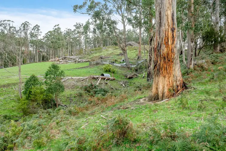 Fifth view of Homely house listing, 10 Norms Road, Glen Huon TAS 7109