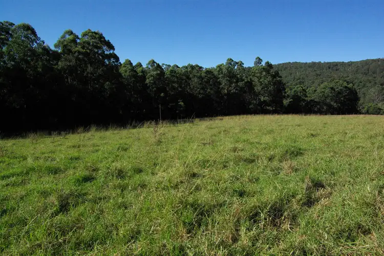 Fifth view of Homely land listing, Lot 3 Schultz Road, Billys Creek NSW 2453