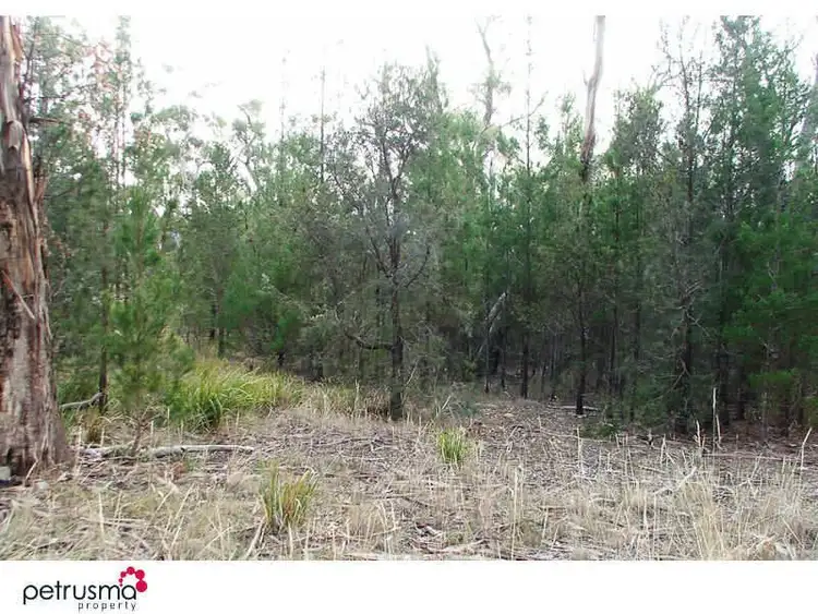 Fifth view of Homely land listing, 51 Bernacchi Drive, Orford TAS 7190