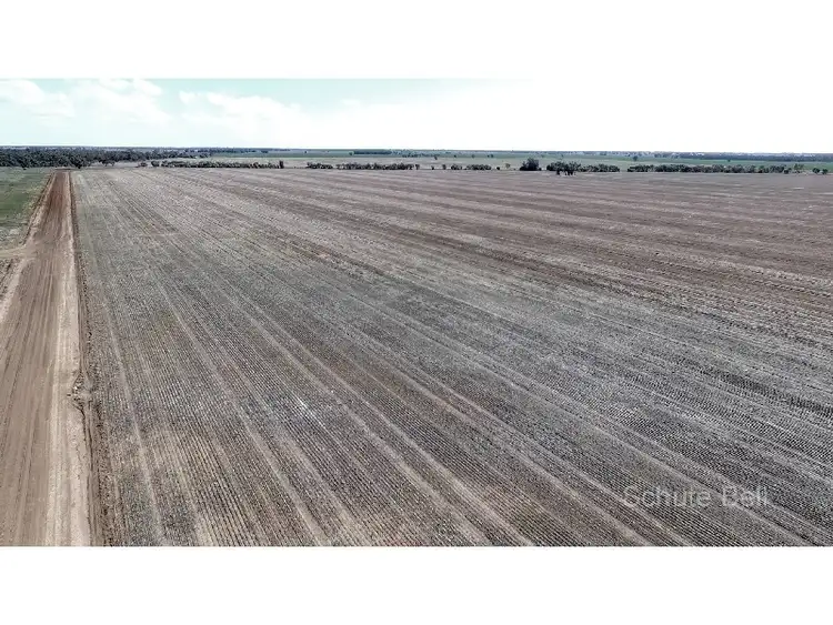 Third view of Homely rural property listing, . Karibu, Narromine NSW 2821