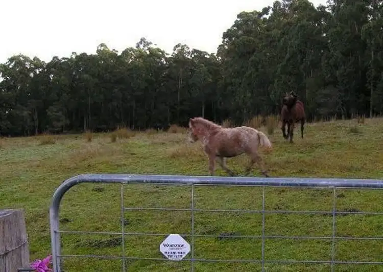 Fifth view of Homely land listing, Lot 2 Huon Highway, Southport TAS 7109