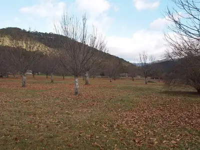 Lot 55A Growlers Creek Road, Wandiligong VIC 3744