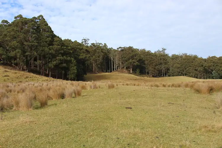 Fourth view of Homely land listing, Lot 2 Gums Road, Mountain River TAS 7109