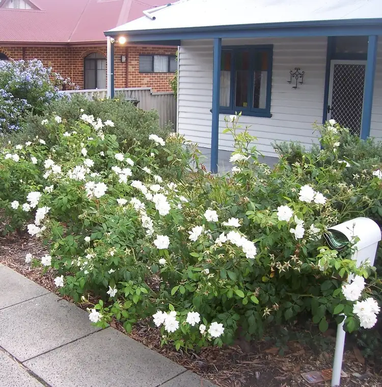 68 Brandon Street, Kensington WA 6151