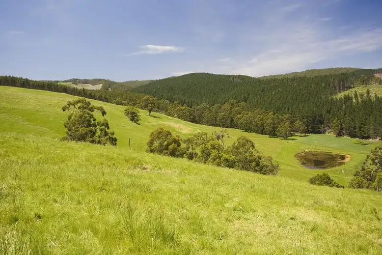 Third view of Homely rural property listing, 65 Splatts Road, Deans Marsh VIC 3235