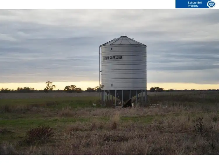 Seventh view of Homely rural property listing, . Dalkeith, Narromine NSW 2821