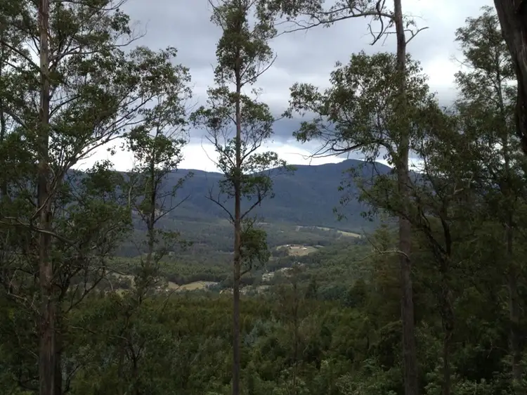 Halls Track Road, Pelverata TAS 7150