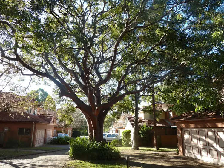 Sixth view of Homely townhouse listing, 13A Bruzzano Place, Cromer NSW 2099