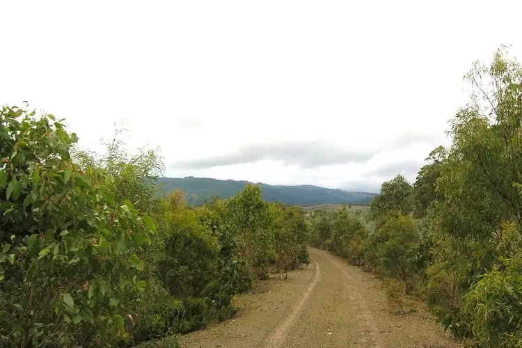Second view of Homely land listing, Mt. Barrow Road, Nunamara TAS 7259