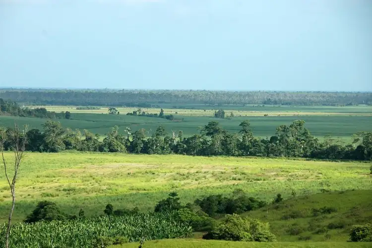 Third view of Homely rural property listing, 16 Cowley Creek Road, Cowley QLD 4871