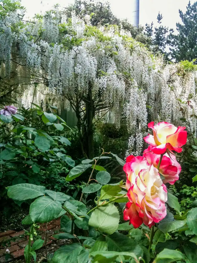 Third view of Homely house listing, 13 Hughes Street, Corinella VIC 3984