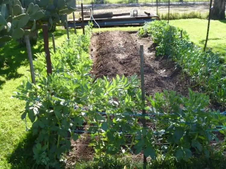 Seventh view of Homely rural property listing, Address available on request