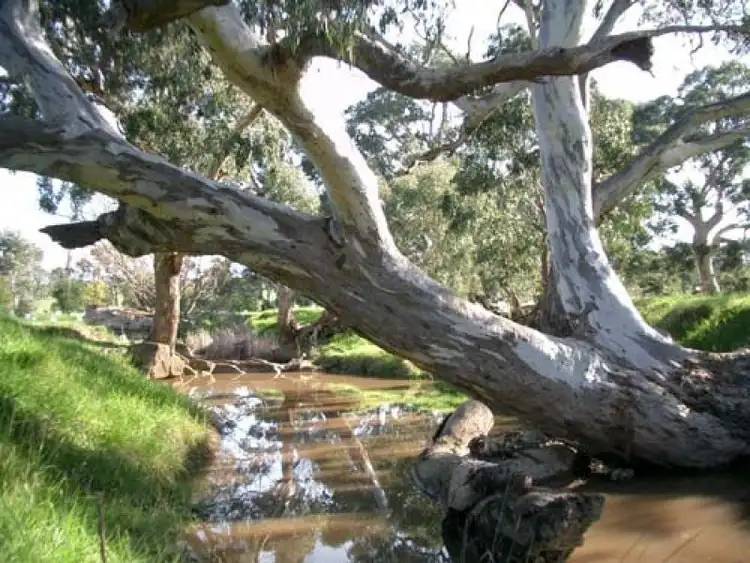 Seventh view of Homely rural property listing, Address available on request