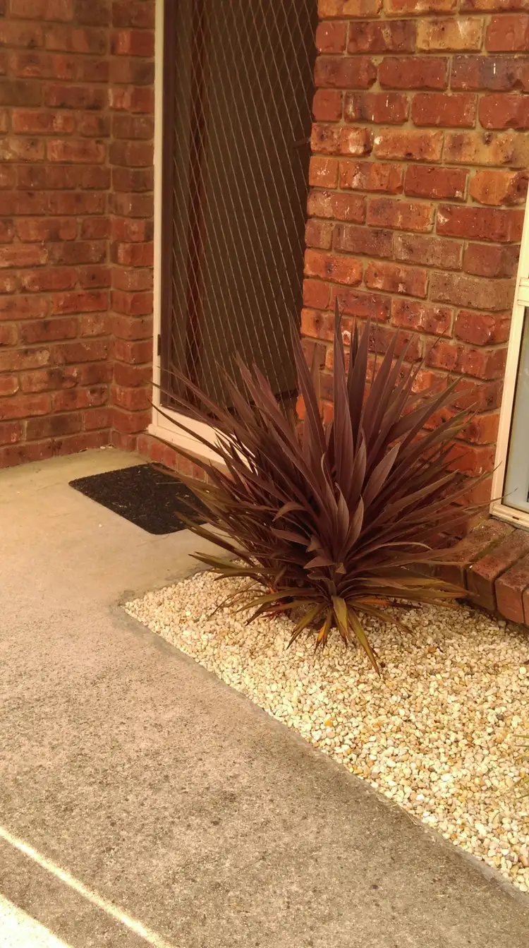 Seventh view of Homely house listing, 5 Walton Street, West Launceston TAS 7250
