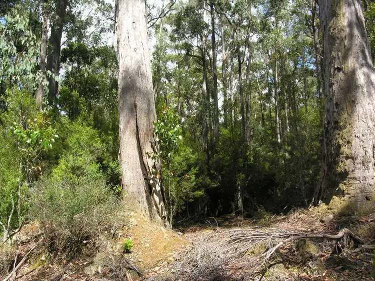 Third view of Homely land listing, Ransley Road, Ellendale TAS 7140