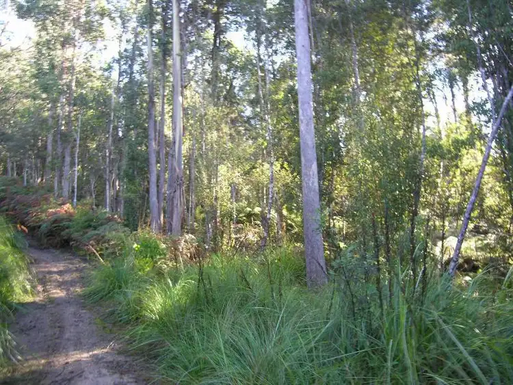 Fifth view of Homely land listing, Lot 1 Off Southwood Road, Lonnavale TAS 7109