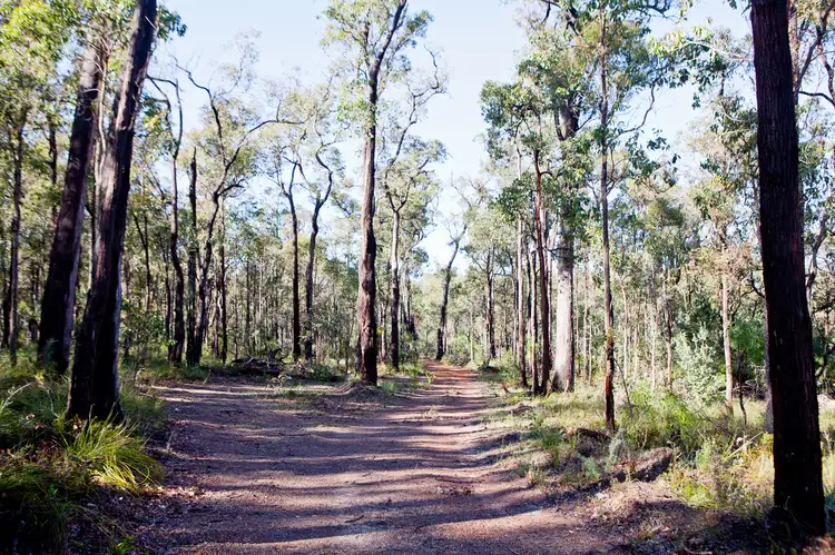 Lot 301 Hurst Road, Argyle WA 6239