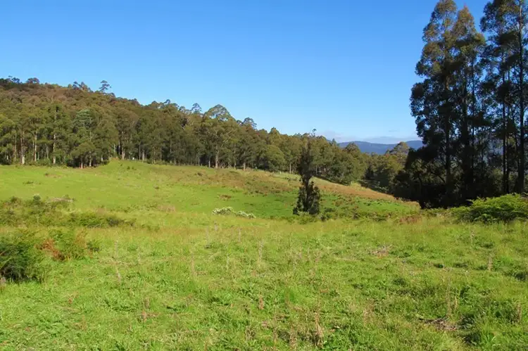 Fifth view of Homely land listing, Halls Track Road, Pelverata TAS 7150