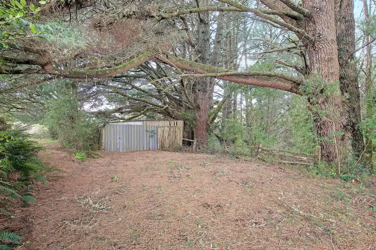 Fifth view of Homely rural property listing, 1100 Skenes Creek Road, Tanybryn VIC 3249