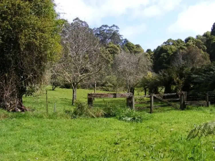 779 Barham River Road, Apollo Bay VIC 3233