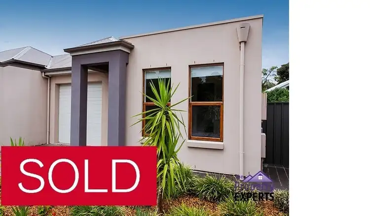 46 Oliphant Avenue, Marion SA 5043
