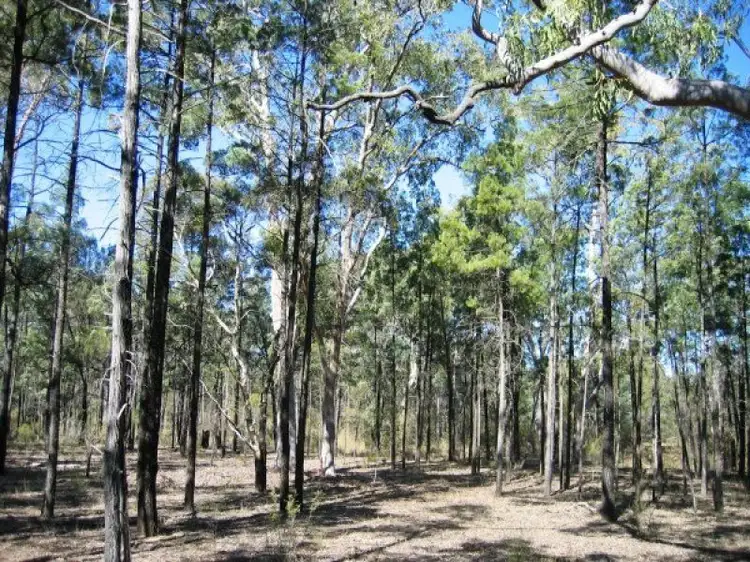1, LOT 1, 247 Bennetts School Road, Wieambilla QLD 4413