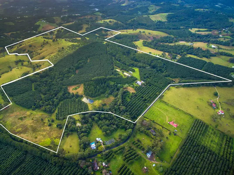 Main view of Homely rural property listing, 149-151 Federal Drive, Federal NSW 2480