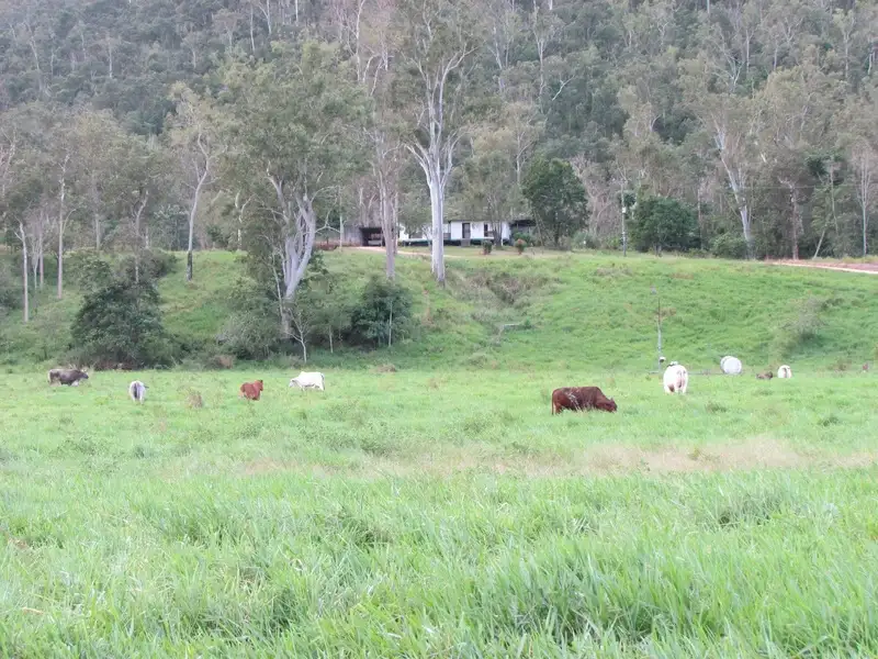 Main view of Homely rural property listing, 5204 Abergowrie Rd, Abergowrie QLD 4850