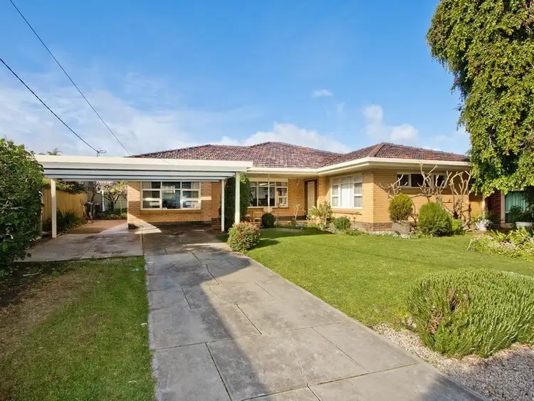 62 Greenglade Drive, Paradise SA 5075