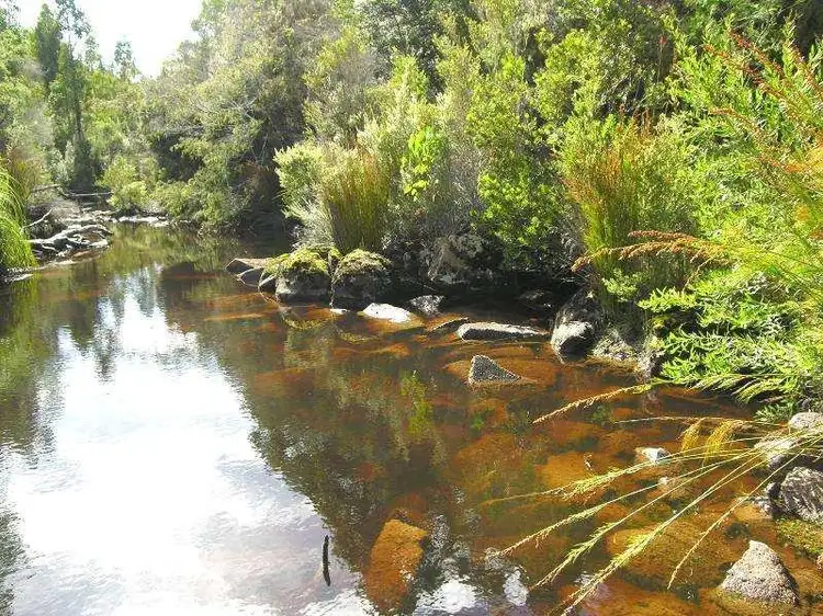 Fifth view of Homely land listing, 7736 Huon Highway, Strathblane TAS 7109