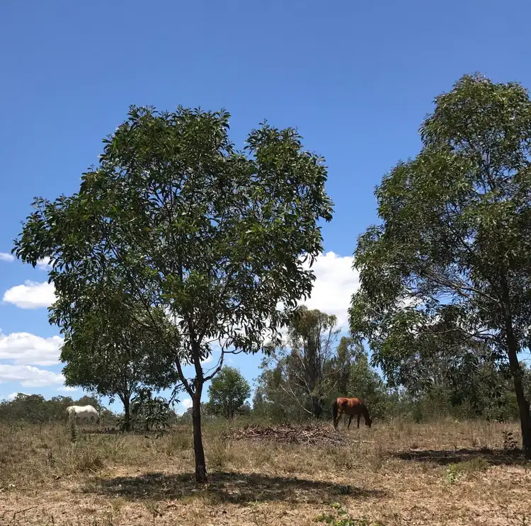 Fifth view of Homely land listing, 1063 GLAMORGAN VALE ROAD, Glamorgan Vale QLD 4306