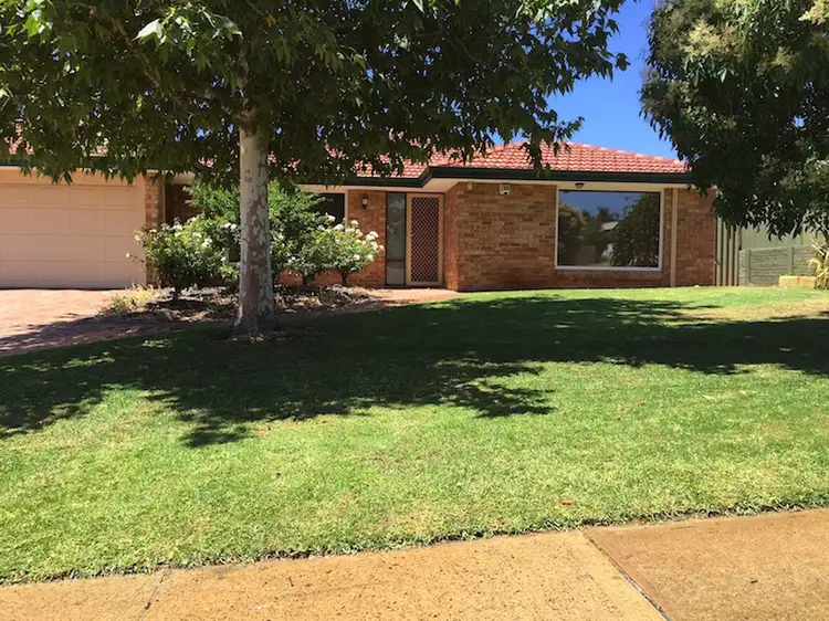 Main view of Homely house listing, 19 Whitcombe Way, Alexander Heights WA 6064