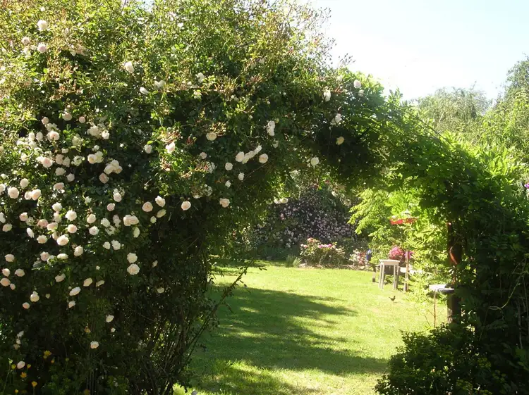 Second view of Homely land listing, 9 Elliot Street, Millthorpe NSW 2798