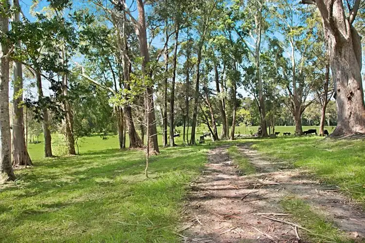 Fifth view of Homely land listing, 1, LOT 1, 81 Loders Road, Duranbah NSW 2487