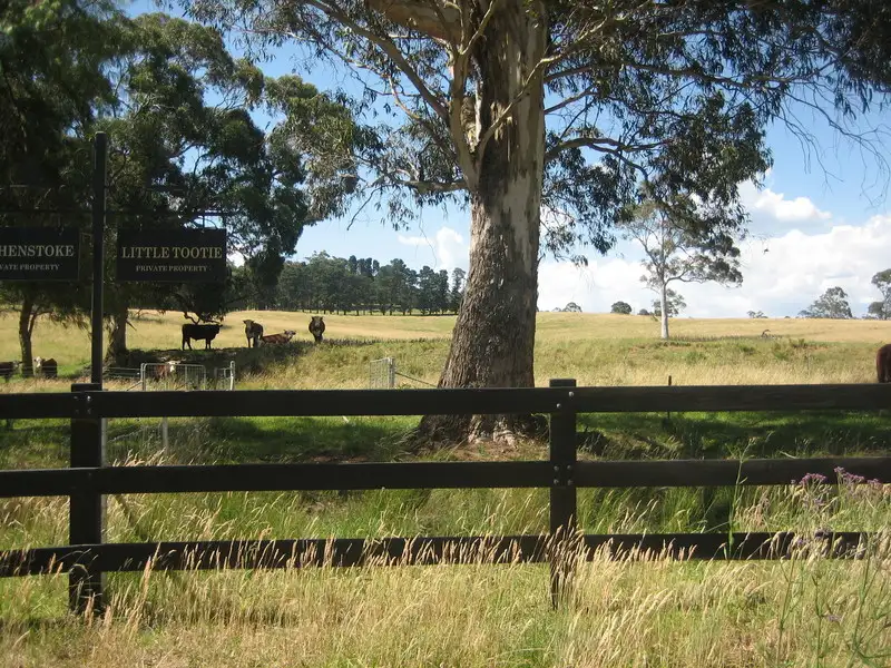 Main view of Homely rural property listing, 388C Mt Tootie Road, Bilpin NSW 2758
