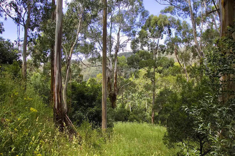 Second view of Homely land listing, 35 Riverside Drive, Wye River VIC 3221